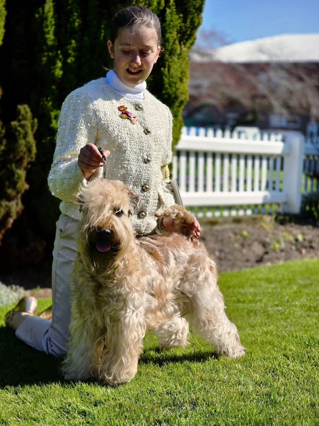Eblanahalls Gold Limerence JW handled by Daphne Bryson at National Terrier 2025